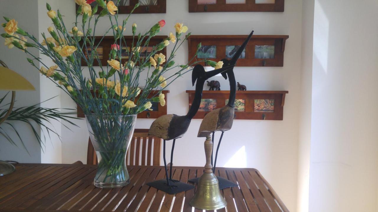 Bed & Breakfast Etna Dziwnowek